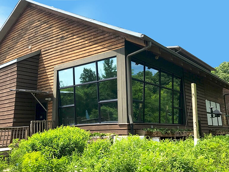 Transparent Bird Friendly Glass to the Rescue