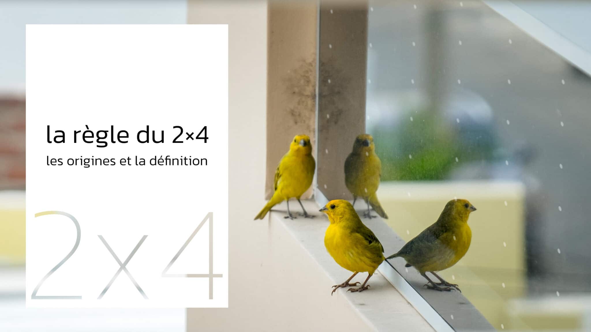 La règle du 2×4 : Les origines et la définition