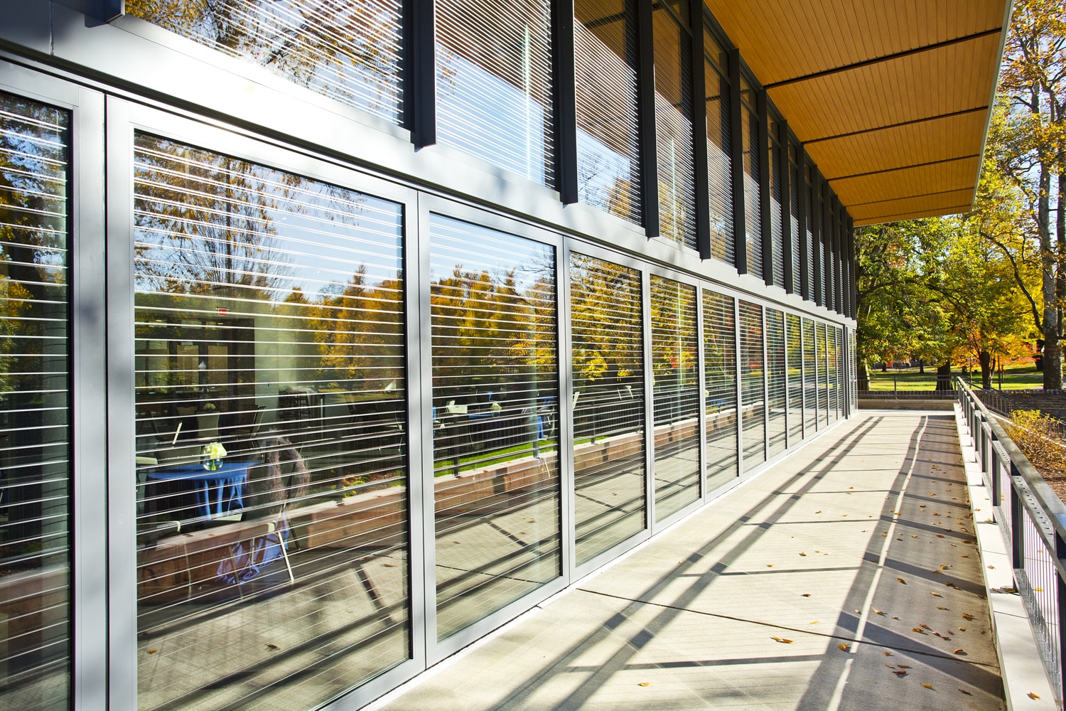 Bird Friendly Glass at The Garden Room of the National Aviary