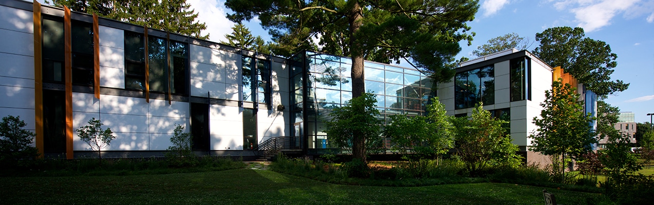 Bird friendly glass at Swarthmore