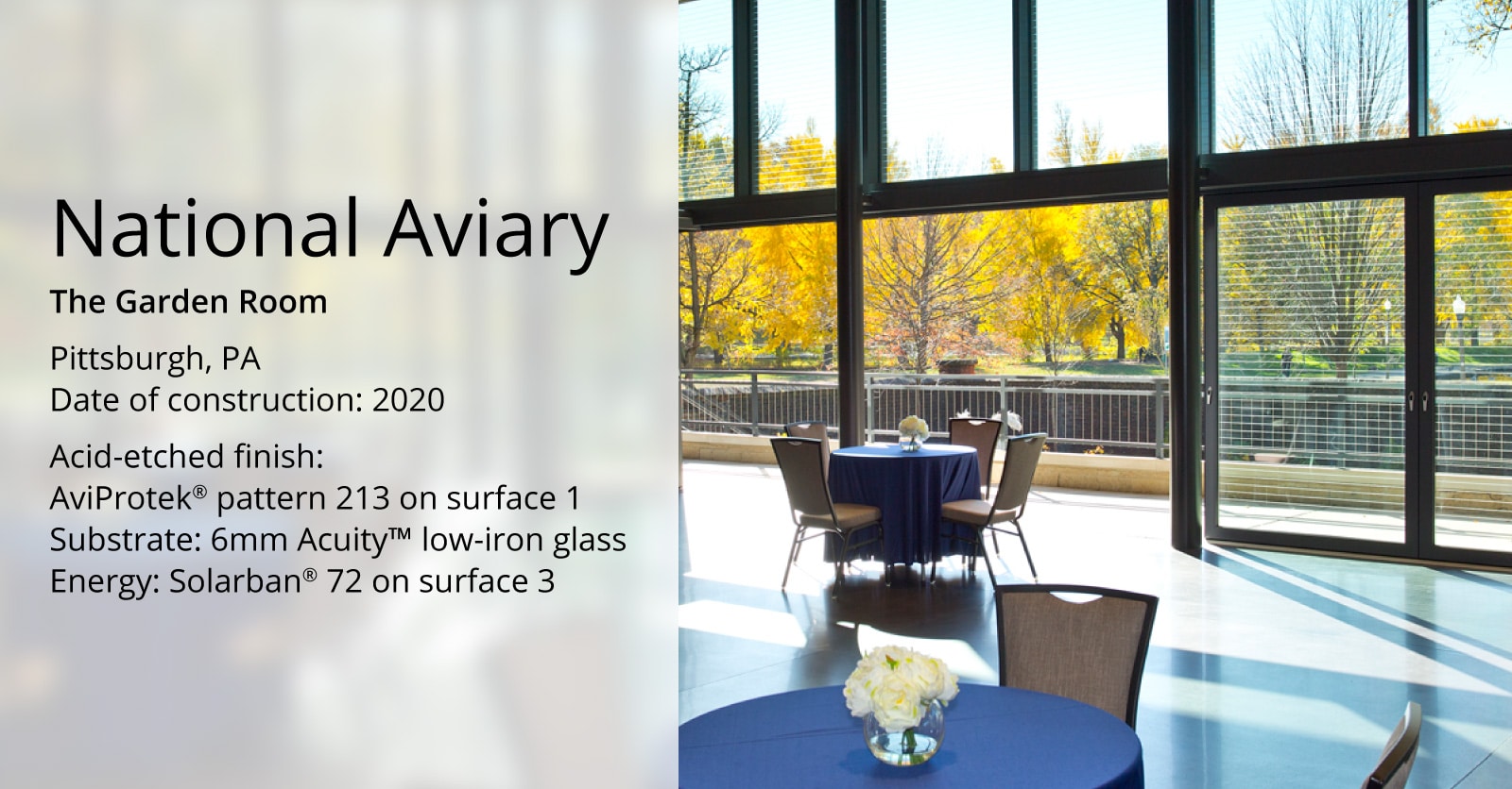 National-Aviary-AviProtek-213