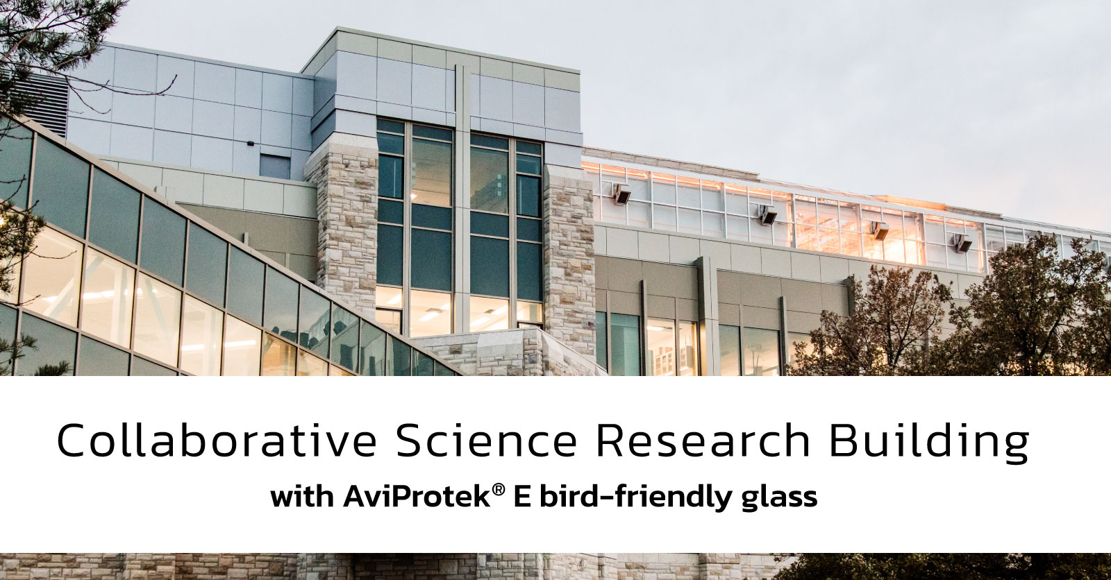 Integrated Solutions and Bird-Friendly Glass at USask