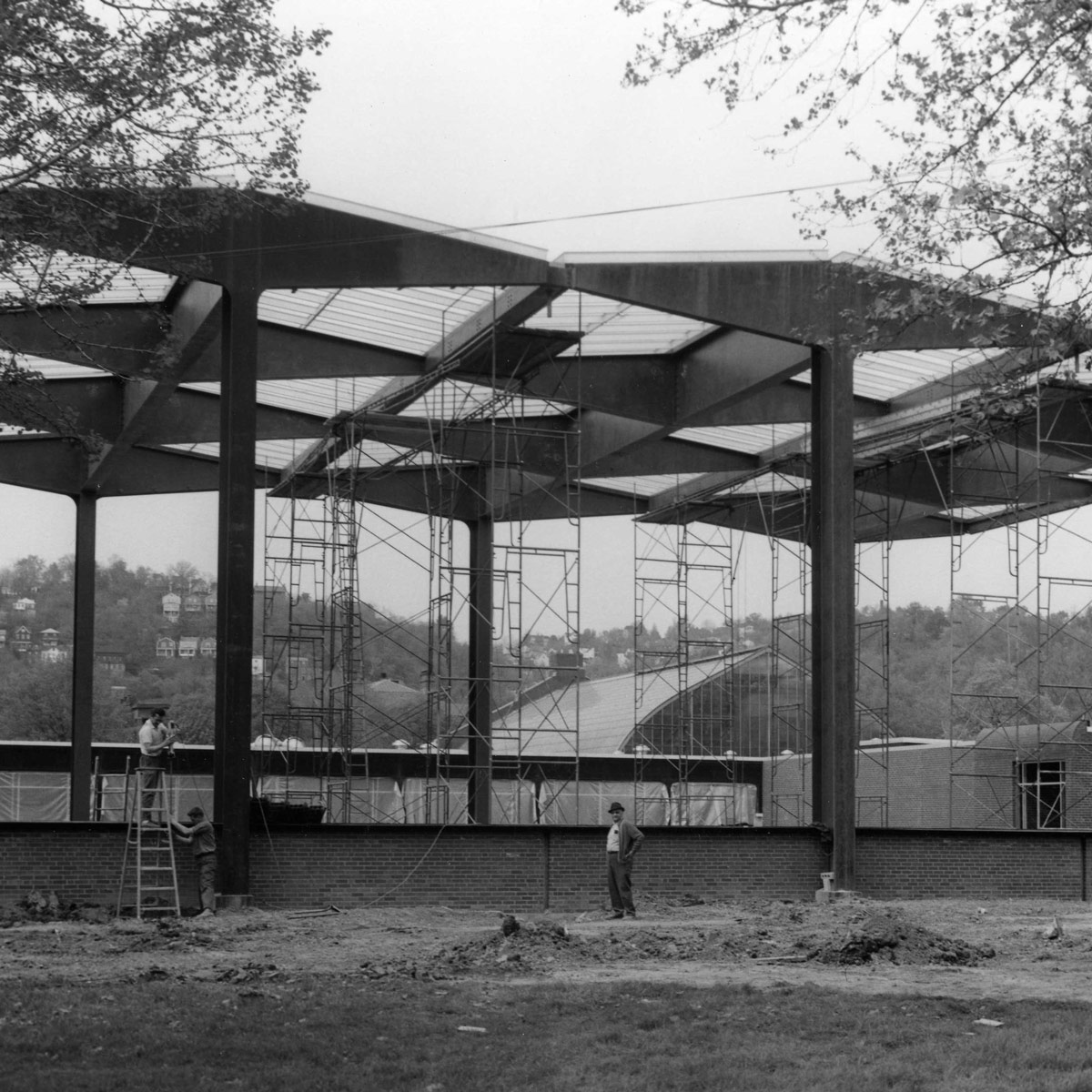 Acid-Etched Glass Improves Daylighting at the National Aviary Wetlands Habitat