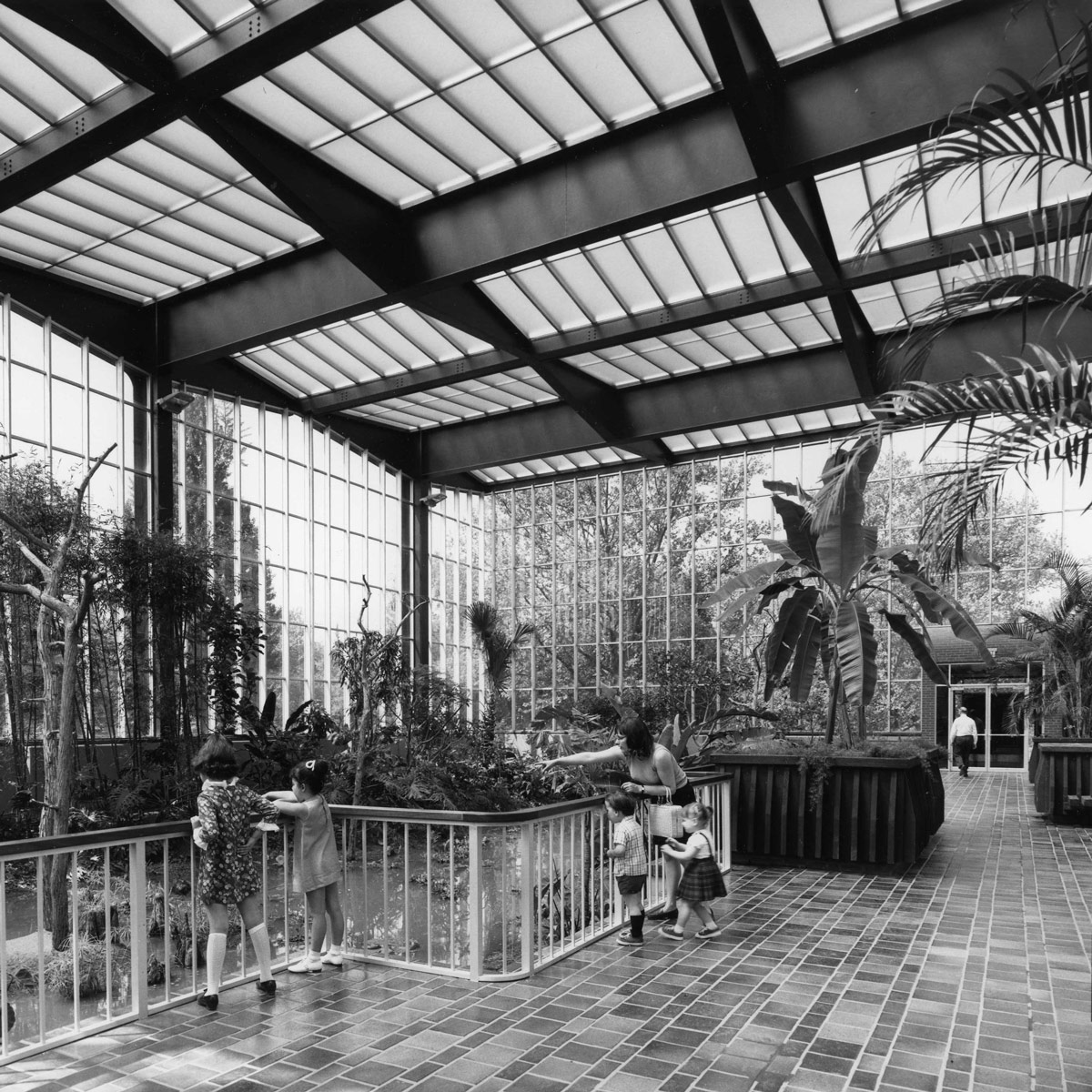 Acid-Etched Glass Improves Daylighting at the National Aviary Wetlands Habitat