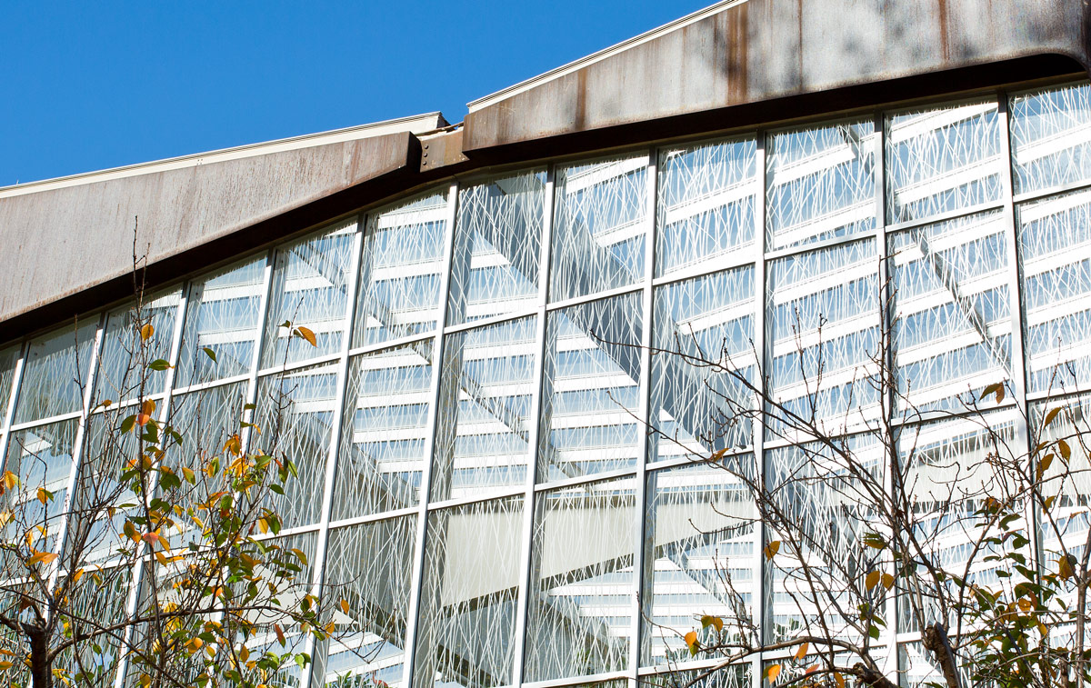 Acid-Etched Glass Improves Daylighting at the National Aviary Wetlands Habitat