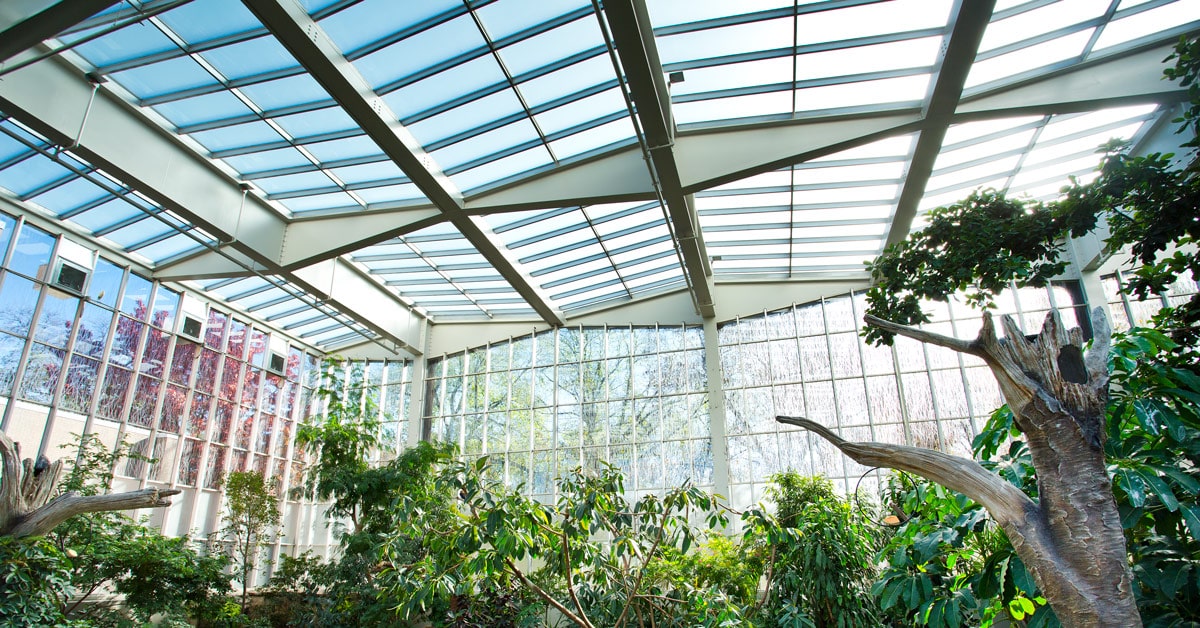 Acid-Etched Glass Improves Daylighting at the National Aviary Wetlands Habitat