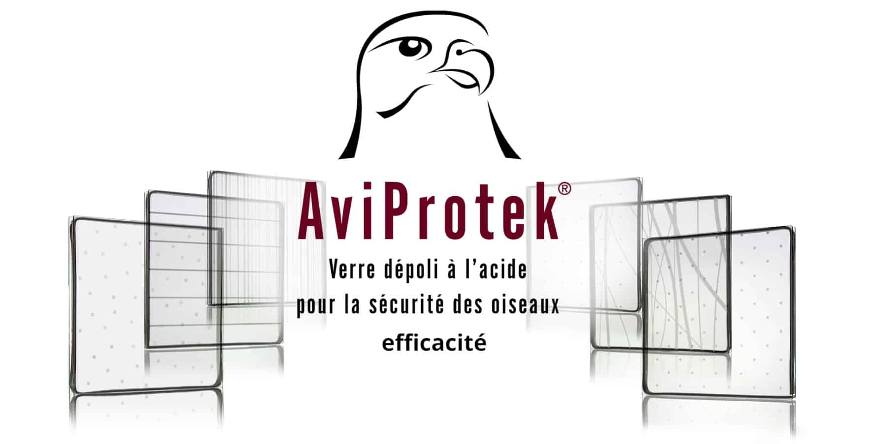 L’efficacité du verre pour la sécurité des oiseaux AviProtek®
