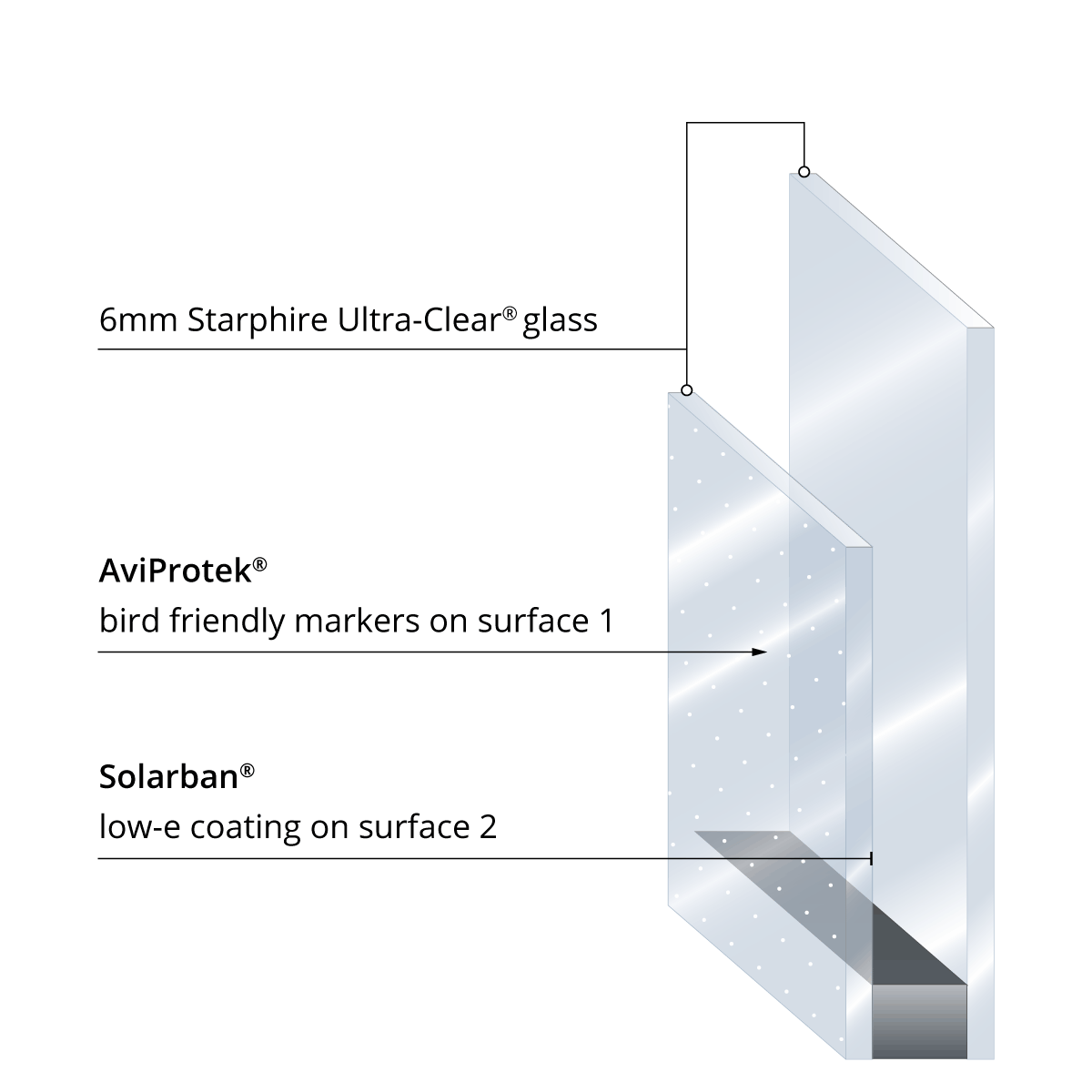 AviProtek E bird friendly glass with Solarban low-e coating on surface 2